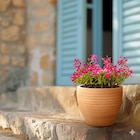 Pot terre cuite Matera - HYBA dans le catalogue Carrefour