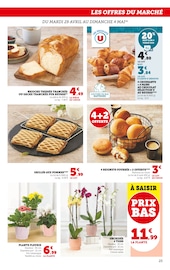 Plante Verte Angebote im Prospekt "Super U" von Super U Plante Verte Angebote im Prospekt "Super U" von Super U auf Seite 25