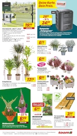 Terrassendielen im toom Baumarkt Prospekt in Iserlohn Aktueller toom Baumarkt Prospekt mit Terrassendielen, "Respekt, wer's selber macht.", Seite 3