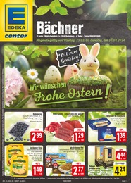 E center Prospekt für Rothenburg (Tauber): "Wir lieben Lebensmittel!", 28 Seiten, 25.03.2024 - 30.03.2024