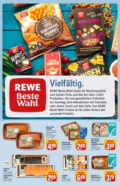 Aktueller REWE Prospekt mit Tierbedarf, "Dein Markt", Seite 14