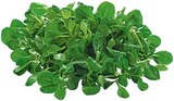 Bio Feldsalat im Angebot bei REWE in Kiel Bio Feldsalat Angebote von REWE bei REWE Kiel für 1,29 €