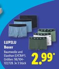 Boxer Angebote von LUPILU bei Lidl Göttingen für 2,99 €