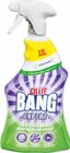 Reiniger im Netto Marken-Discount Prospekt Reiniger von Cillit Bang im aktuellen Netto Marken-Discount Prospekt für 2,99 €