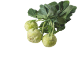 Kohlrabi von  im aktuellen tegut Prospekt für 0,49 €