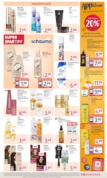Rossmann Haarspray im Prospekt 