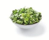 Bio Feldsalat Angebot in Penig Bio Feldsalat im aktuellen Prospekt bei Lidl in Penig