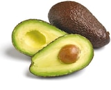Avocado vorgereift im aktuellen Netto mit dem Scottie Prospekt