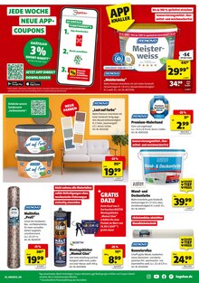 Farbe im Hagebaumarkt Prospekt "HOL DIR FREUDE IN DEINEN GARTEN" mit 22 Seiten (Mönchengladbach)