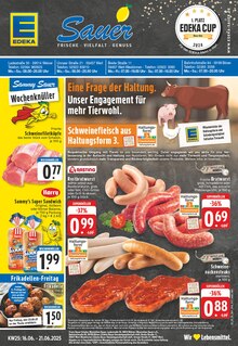 Aktueller EDEKA Prospekt "Aktuelle Angebote" für Werl Aktueller EDEKA Prospekt für Werl mit Seiten