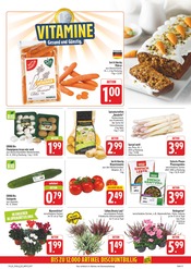 Pflanzen im EDEKA Prospekt in Weiden Aktueller EDEKA Prospekt mit Pflanzen, "Wir lieben Lebensmittel!", Seite 19