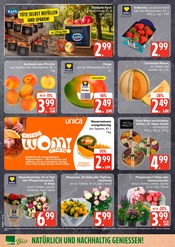 Ähnliche Blumenzwiebeln Angebote im Prospekt "Top Angebote" von EDEKA in Seevetal Ähnliche Angebote wie Blumenzwiebeln im Prospekt "Top Angebote" auf Seite 8 von EDEKA in Seevetal