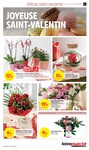 Jardinage Jardinage