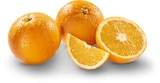 Netto Marken-Discount Heinsberg - Orangen Angebot im Prospekt Orangen bei Netto Marken-Discount im Heinsberg Prospekt für 2,49 €