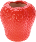 Aktuelle Erdbeeren Angebote bei Möbel AS in Mannheim Aktuelles Vase Erdbeere Angebot bei Möbel AS in Mannheim ab 9,95 €