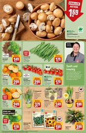 Staubsauger im REWE Prospekt in Mönchengladbach Aktueller REWE Prospekt mit Staubsauger, "Dein Markt", Seite 7