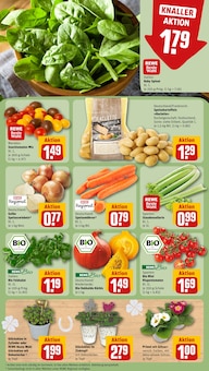 Pflanzen im REWE Prospekt "Dein Markt" mit 18 Seiten (Neuss)