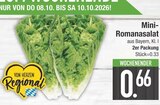 Mini-Romanasalat von  im aktuellen EDEKA Prospekt für 0,66 €