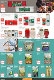 Aktueller GLOBUS Prospekt mit Sonnenblumenkerne, "Aktuelle Angebote", Seite 24