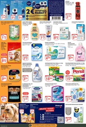 Persil im GLOBUS Prospekt in Zwickau Aktueller GLOBUS Prospekt mit Persil, "Aktuelle Angebote", Seite 14