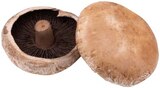 Portobello Pilze Angebote von Rewe Feine Welt bei REWE Cottbus für 2,79 €
