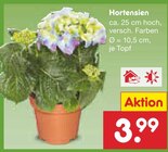 Hortensien Angebote bei Netto Marken-Discount Filderstadt für 3,99 €