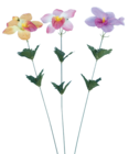 Tige orchidée en promo chez Maxi Bazar Courbevoie à 0,99 €