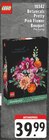 Botanicals Pretty Pink Flower Bouquet Packung im Angebot bei EDEKA in Grevenbroich Botanicals Pretty Pink Flower Bouquet Packung Angebote von LEGO bei EDEKA Grevenbroich für 39,99 €