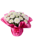 Chrysanthemen in Geschenkverpackung Angebote bei Lidl Reutlingen für 5,99 €