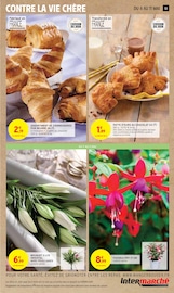 Plantes Angebote im Prospekt "TOUT VOTRE MAGASIN CONTRE LA VIE CHÈRE" von Intermarché Plantes Angebote im Prospekt "TOUT VOTRE MAGASIN CONTRE LA VIE CHÈRE" von Intermarché auf Seite 13