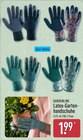 Aktuelle Schuhe Angebote bei ALDI Nord in Potsdam Aktuelles Latex-Gartenhandschuhe Angebot bei ALDI Nord in Potsdam ab 1,99 €