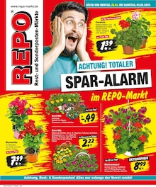 Aktueller Repo Prospekt