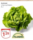 Aktuelles Kopfsalat Angebot bei GLOBUS in Duisburg ab 1,29 €