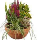Herbstschale für 14,99 € bei Hagebaumarkt im Angebot Herbstschale im aktuellen Hagebaumarkt Prospekt