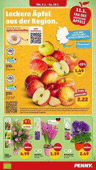 Blumen im Penny Prospekt "Wer günstig will, muss Penny." mit 50 Seiten (Augsburg)