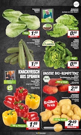 Bio Lebensmittel im EDEKA Prospekt in Hamm Aktueller EDEKA Prospekt mit Bio Lebensmittel, "Aktuelle Angebote", Seite 7