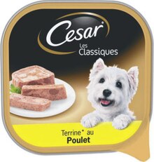 Petit Casino Portet-sur-Garonne - Terrine au poulet pour chiens Promo Terrine au poulet pour chiens dans le catalogue Petit Casino "# Prêt pour entrer dans le royaume des marques ?" à Portet-sur-Garonne