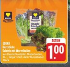 Aktuelle Salat Angebote bei EDEKA in Leipzig Aktuelles Salatrio mit Wurzelballen Angebot bei EDEKA in Leipzig ab 1,00 €