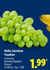 Aktuelle Weintrauben Angebote bei Lidl in Nürnberg Aktuelles Helle, kernlose Trauben Angebot bei Lidl in Nürnberg ab 1,99 €