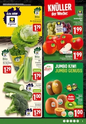 Kräuter im EDEKA Prospekt in Osnabrück Aktueller EDEKA Prospekt mit Kräuter, "Aktuelle Angebote", Seite 3