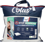 Oreiller colas normand stop acariens - COLAS NORMAND en promo chez Auchan Hypermarché Dunkerque à 9,99 €