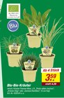 Bio-Kräuter Angebote von Blu bei toom Baumarkt Nürnberg für 3,59 €