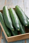 Promo Concombre à 1,68 € dans le catalogue Intermarché à Prix-lès-Mézières