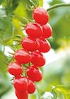 Tomates cerises Rubylicious, Consuelo et San Antonio en promo chez LaMaison.fr Saint-Étienne à 1,99 €