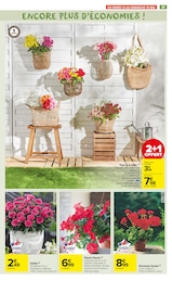 Fleurs Angebote im Prospekt "Carrefour Market" von Carrefour Market auf Seite 43