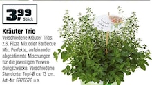 Kräuter Trio bei OBI in Bergisch Gladbach Kräuter Trio im Angebot bei OBI Bergisch Gladbach für 3,99 €