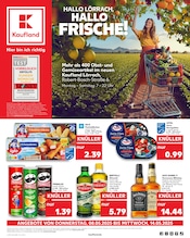 Kaufland Supermarkt Prospekt der aktuellen Woche mit 66 Seiten, gültig von 08.05.2025 bis 14.05.2025, in Wembach und Umgebung Aktueller Kaufland Supermarkt Prospekt in Wembach und Umgebung, "Aktuelle Angebote" mit 66 Seiten, 08.05.2025 - 14.05.2025