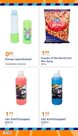 Aktueller Action Prospekt mit Mixer, "kleine Preise, grosse Freude!", Seite 29