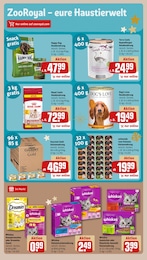 Hundefutter Angebot im aktuellen REWE Prospekt auf Seite 21