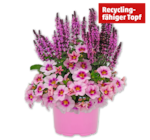 Angebot im Penny Elsteraue Prospekt Penny Elsteraue Prospekt mit im Angebot für 2,79 €